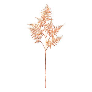 ubVAXpKXIW^S[hA[eBtBVt[ԃ[tAXpKX[TDLFJ004757] t[Mtg nhCh fB XvC K[fjOpi IuWF 