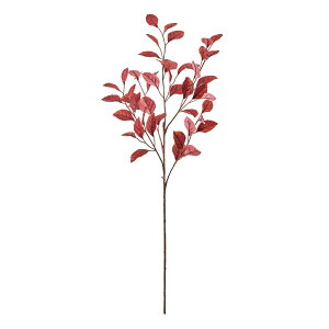 {h[r[`[t_[NbhA[eBtBVt[ԍgtI[^[tA[eBtBVO[[TDLFG000598] t[Mtg nhCh fB XvC K[fj