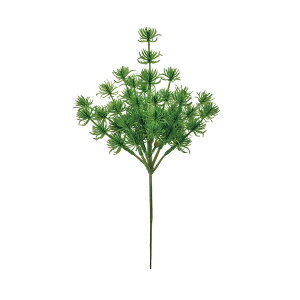 ~jpCsbNO[A[eBtBVt[ԏpC[TDLFG004920] t[Mtg nhCh fB XvC K[fjOpi IuWF  i`AW 