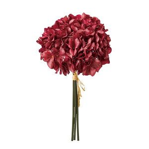 VA[nChWAohbh1A[eBtBVt[ԂnChWA[TDLFX000320-003] t[Mtg nhCh K[fjOpi fB XvC i`