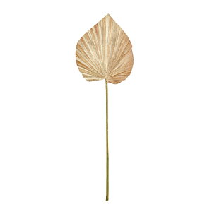 Gg[t@p[VpS[hA[eBtBVt[ԃp[[tgsJ[t[TDLFJ000126] t[Mtg nhCh fB XvC K[fjO