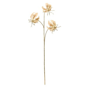 ~G[OI TVCx[W A[eBtBVt[  OIT [TDLFJ001711-013] t[f nhCh CeAt[ fBXvC Cxgpi C