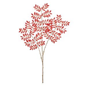 ŶȂȂ܂ǃbh^S[hA[eBtBVt[ԃ[t[TDLFJ006001-003] t[Mtg nhCh fB XvC K[fjOpi IuWF  i`A