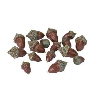 hOuE32RA[eBtBV̖؂̎[TDLFV000163] EIuWFEuECeAECxgpi AWgp[c K[fjOpi |G` uE