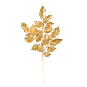 S[h[tS[hA[eBtBVt[ԃ[t[t[TDLFX003030] t[Mtg nhCh fB XvC K[fjOpi IuWF  i`