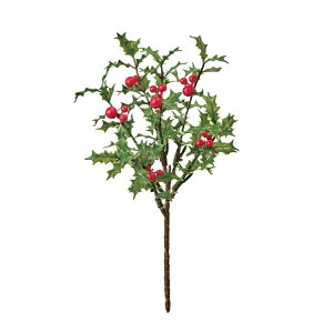 veBz[sbNO[^bh1A[eBtBVt[ԃ[tNX}XqCMz[[TDLFX001856] t[Mtg nhCh fB XvC K[fjOpi I