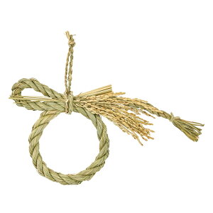 ֏ AWx[X i`f  ߓ ߏ [TDLXJ002024] CeAfR[V CxgpiNNn Xܗpi ԏ VRf