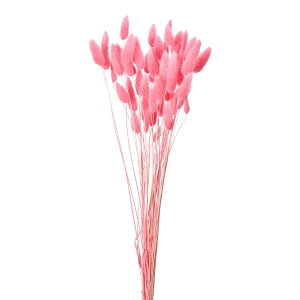 OXt~ShCt[J[[TDLFD042050-016] t[Mtg nhCh fB XvC fR[Vf IuWF  CeAԍ A[eBtBVt[