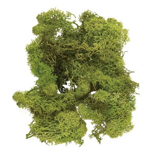 ACXhXE܃tbVO[1܃vU[uht[X[TDLDO061073-730] t[Mtg nhCh fB XvC K[fjOpi IuWF  CeAԍ A