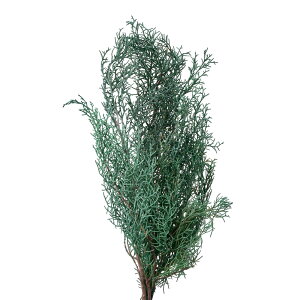 �u���[�A�C�X�V���o�[�O���[���v���U�[�u�h�t�����[�O���[��[TDLDO001260-790] �t�����[�M�t�g �n���h���C�h���� �f�B �X�v���C �f�R���[�V�����f�� �I�u�W�F ���� �C���e���A�ԍ� �A�[�e�B�t