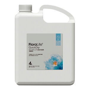 t[CtNCbNfBbvgi4LԐpރt[[TDLSJ032032]yt[Mtg  fBXvC { Eʊ PH z