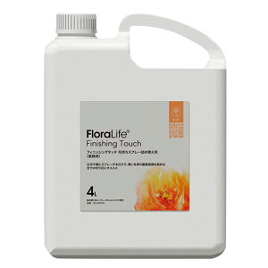 t[CttBjbVO^b`l4L؂ԉh{ܐԐpރt[[TDLSJ032035]yt[Mtg  fBXvC { Eʊ ~l z