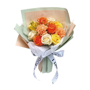 GmAu[PIWAWg\[vt[MtgAW񂰕tNAP[X[TDLDMFDC3EN-0CO]yCeAt[ AWgt[ t[Mtg fU