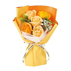 |V5փu[P IW [TDLDMFDC4PH-00O] \[vt[ t[u[P MtgAW CeAt[ AWgt[ t[Mtg  fUCu[P tܕt