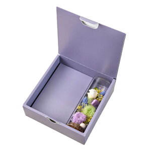 IWiZbgViĂǂjp[vAWgt[lAWԂ݂̉ԃvU[uht[[TDLZY005022-017]y t[Mtg A[gt[ CeAt