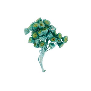 v`t[C[ewbhyp[~g1܃hCt[ʃJ[[TDLDU000100-235]y t[Mtg A[gt[ CeAt[ AWgt[ fBXv