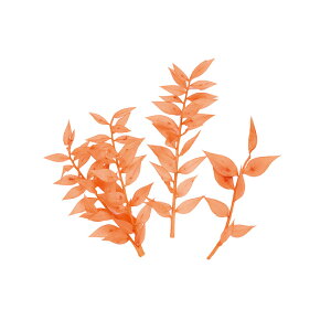 v`t[XJXTS1܃hCt[ʃJ[[TDLDU000101-328]y t[Mtg A[gt[ CeAt[ AWgt[ fBXvC z