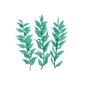 v`t[XJXyp[~g1܃hCt[ʃJ[[TDLDU000101-235]y t[Mtg A[gt[ CeAt[ AWgt[ fBXvC z