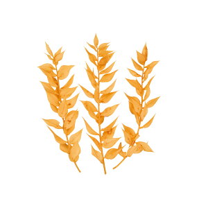 v`t[XJXnj[1܃hCt[ʃJ[[TDLDU000101-004]y t[Mtg A[gt[ CeAt[ AWgt[ fBXvC z