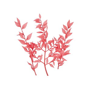 v`t[XJXO@o1܃hCt[ʃJ[[TDLDU000101-162]y t[Mtg A[gt[ CeAt[ AWgt[ fBXvC z