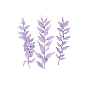 v`t[XJXAPr1܃hCt[ʃJ[[TDLDU000101-049]y t[Mtg A[gt[ CeAt[ AWgt[ fBXvC z