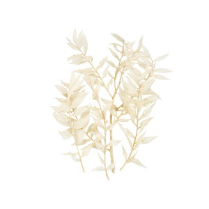 v`t[XJXzCg1܃hCt[ʃJ[[TDLDU000101-001]y t[Mtg A[gt[ CeAt[ AWgt[ fBXvC z