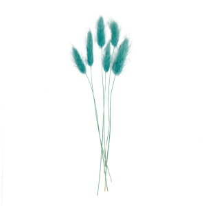 v`t[OXyp[~g1܃hCt[ʃJ[[TDLDU000102-235]y t[Mtg A[gt[ CeAt[ AWgt[ fBXvC z