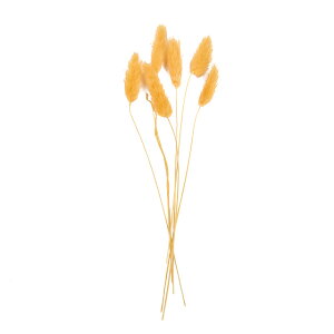 v`t[OXnj[1܃hCt[ʃJ[[TDLDU000102-004]y t[Mtg A[gt[ CeAt[ AWgt[ fBXvC z