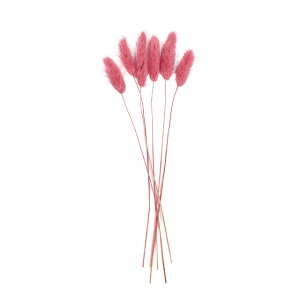 v`t[OXO@o1܃hCt[ʃJ[[TDLDU000102-162]y t[Mtg A[gt[ CeAt[ AWgt[ fBXvC z