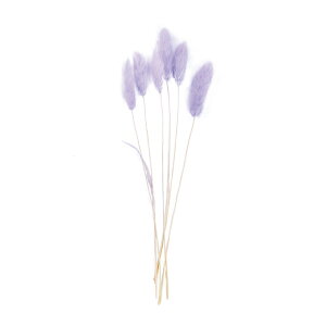 v`t[OXAPr1܃hCt[ʃJ[[TDLDU000102-049]y t[Mtg A[gt[ CeAt[ AWgt[ fBXvC z