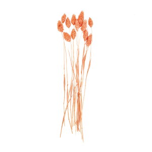 v`t[|AvcTS1܃hCt[ʃJ[[TDLDU000103-328]y t[Mtg A[gt[ CeAt[ AWgt[ fBXvC z