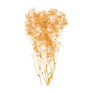 v`t[\tg~jJX~nj[1܃hCt[ʃJ[[TDLDU000104-004]y t[Mtg A[gt[ CeAt[ AWgt[ fBXvC z