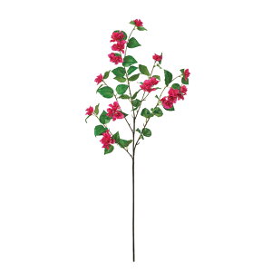 {^jJu[QrAr[eBA[eBtBVt[ԃu[QrA[TDLFM302505-016]y t[Mtg A[gt[ CeAt[ AWgt[ fBXv