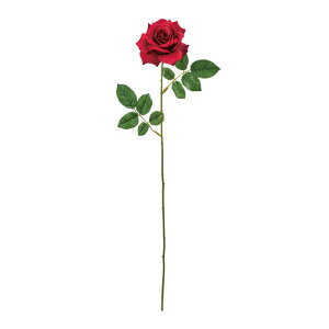 uAg[YbhA[eBtBVt[ԃ[Y΂[TDLFM302526-003]y t[Mtg A[gt[ CeAt[ AWgt[ fBXvC z