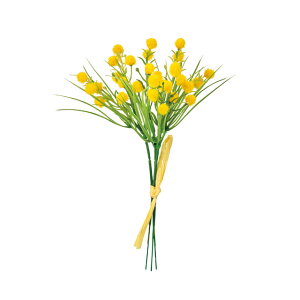 }i~UohCG[1A[eBtBVt[ԃ~U[TDLFM001680]y t[Mtg A[gt[ CeAt[ AWgt[ oh z