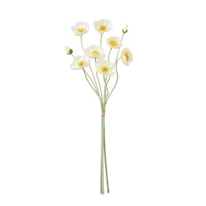 {k[|s[ohN[1A[eBtBVt[ԃ|s[[TDLFM005026-001]y t[Mtg A[gt[ CeAt[ AWgt[ fBXvC o