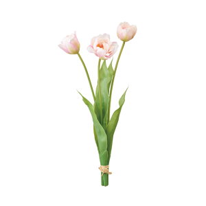 `[bvohN[sN1A[eBtBVt[ԃ`[bv[TDLFM008710-046]y t[Mtg A[gt[ CeAt[ AWgt[