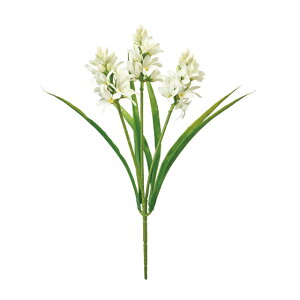 qVXubVN[A[eBtBVt[ԃqVXI[j\K[TDLFM002692-001]y t[Mtg A[gt[ CeAt[ AWgt[ ub