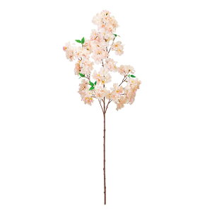 ͂ȂߍN[sNA[eBtBVt[ԍ[TDLFM004509]y t[Mtg A[gt[ CeAt[ AWgt[fBXvC z