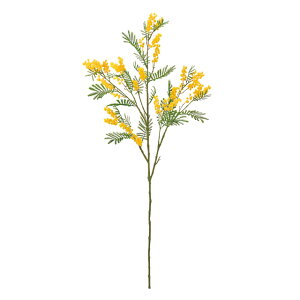 t[e~UOS[hCG[A[eBtBVt[ԃ~U[TDLFM000554]y t[Mtg A[gt[ CeAt[ AWgt[ z