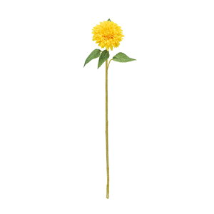 _uTt[CG[A[eBtBVt[ԂЂ܂[TDLFM002582-004]y t[Mtg A[gt[ CeAt[ AWgt[ z