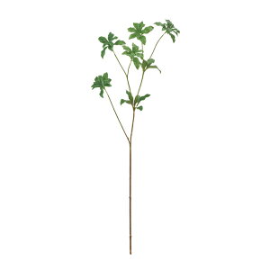 AZr}O[A[eBtBVt[ԃGVJTXeiu}̉ԗtt}̔n[TDLFG302503]ylHϗtAECeAt[ tFCNO[ fBXvC C