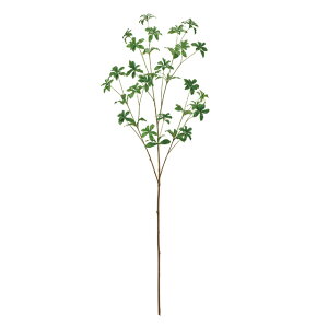 AZr}O[A[eBtBVt[ԃGVJTXeiu}̉ԗtt}̔n[TDLFG302504]ylHϗtAECeAt[ tFCNO[ fBXvC C