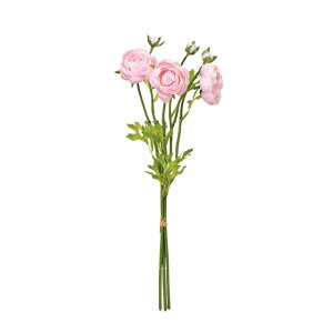 `AtiohsN1A[eBtBVt[ԃiLX[TDLFM002011-002]y t[Mtg A[gt[ CeAt[ AWgt[ oh 