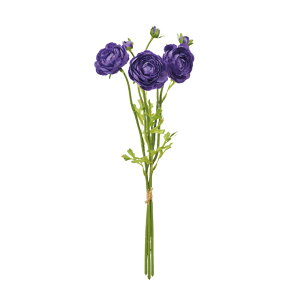 `Atioh_[Np[v1A[eBtBVt[ԃiLX[TDLFM002011-017]y t[Mtg A[gt[ CeAt[ AWgt[ 