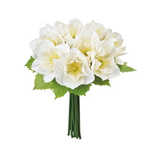 rWNX}X[YohN[zCg1A[eBtBVt[ԃNX}X[Y[TDLFM000784-001]y t[Mtg A[gt[ CeAt[ AW