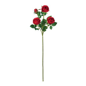 v^[YbhA[eBtBVt[ԃ[Y΂[TDLFM000026-003]ytFCN[Y z[fR  CeA Mtg t[AWg z