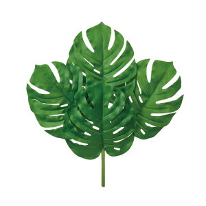 Xe4{gCgO[A[eBtBVt[ԃfBXvCԗăXe[TDLFK002401-023]ylHϗtAECeAt[ tFCNO[ fBXvC C