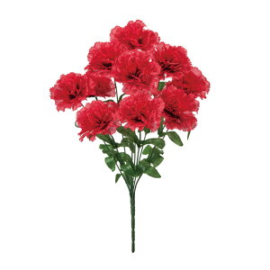 }[J[l[VubVbhA[eBtBVt[ԃJ[l[V[TDLFM008850-003]y t[Mtg A[gt[ CeAt[ AWgt[ fBX