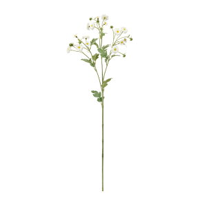 }gJAzCgA[eBtBVt[ԃ}e[TDLFM001835-001]y t[Mtg A[gt[ CeAt[ AWgt[ z